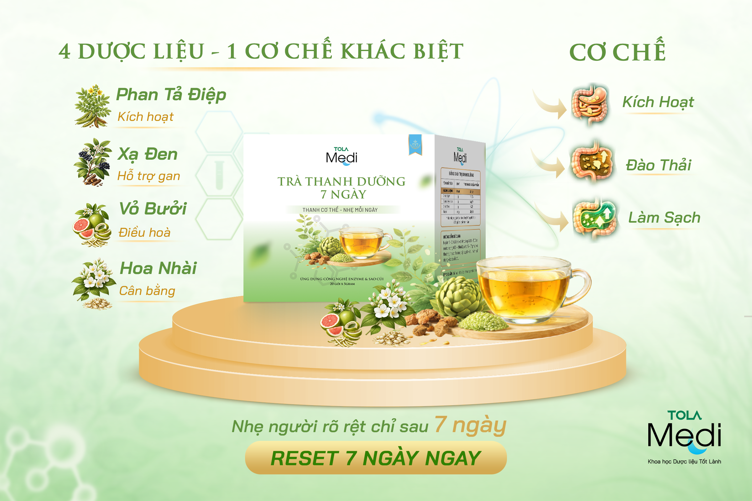 Trà Thanh Dưỡng 7 Ngày TOLA Medi - Ảnh 2