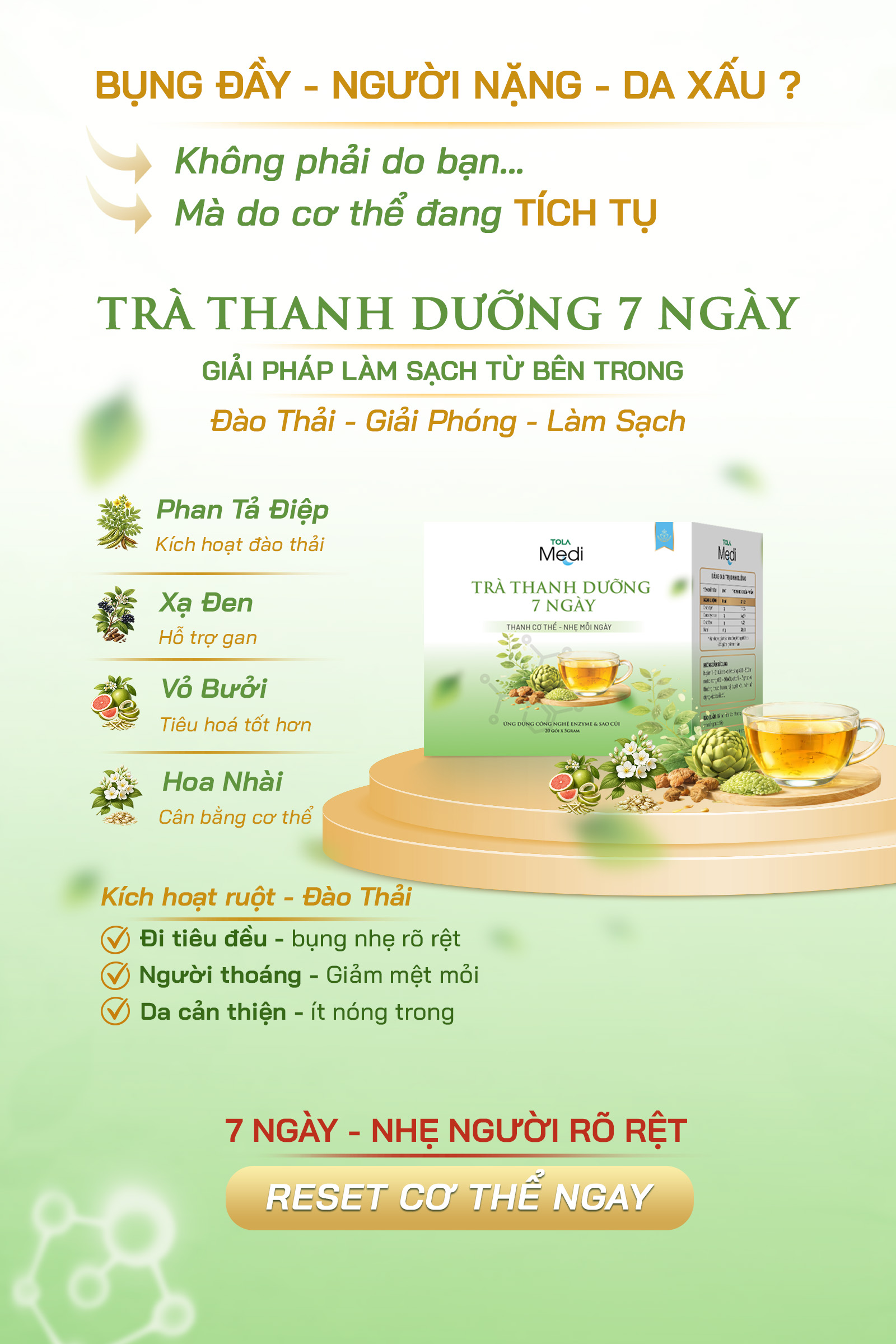 Trà Thanh Dưỡng 7 Ngày TOLA Medi - Ảnh 5